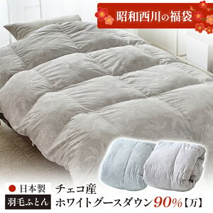 [a̕]HтӂƂ{ `FRYzCgO[X_E90 VO FBPEC25997 Hѕzc  VO ~p  2026