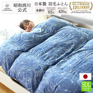 y15%OFFN[| 10/20za Hѕzc Z~_u { }U[O[X _E 93% Z~_uO 170×210cm lߕd 1.3kg ec1903
