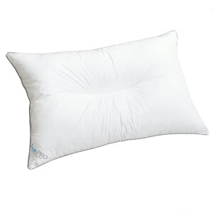 uӂtBbgv܂ 63×43cm SF-4901 SNtbVv a