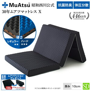 a 30NAc}bgX X Z~_u M[En[h r[Ly[Ώ O܂ ~zc E^ ʍ\ 3w\ ̈U 10cm R hL ʋC n u