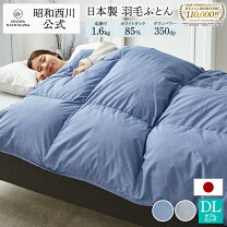 楽天市場】ダブル 掛け布団 西川の通販