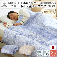 【10%OFFクーポン ※5/27 1:59迄】羽毛 肌掛けふとん日本製ドイツグース90％ シングルロング （サイズ：1…