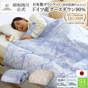 y14%OFF 11/11 01:59zH |ӂƂ{hCcO[X90 Z~_uO iTCYF170×210cm^d0.35kgj380_Ep[ EC907 ėp Hѕzc ėp |zc { Hѕzc  