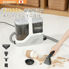 カーペットクリーナー リンサー ベッド クリーナー ソファ クリーナー 染み抜き 布洗浄機 洗濯機 絨毯 スポット ラグ バキューム 掃除機 車内 ぬいぐるみ ペットシート対応 乾湿両用 コンパクト 大掃除 強力吸引 dy510　新生活