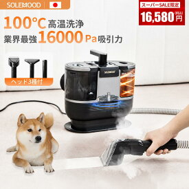 ＼27％OFF！スーパーセール限定16,580円／ 楽天1位 カーペットクリーナー スチームクリーナー リンサー 布製品 クリーナー スチーム バキューム ソファ ベッド 染み抜き 掃除機 洗浄機 洗濯機 大掃除 絨毯 クリーニング スポット ラグ 水掃除 掃除機 DY506　新生活