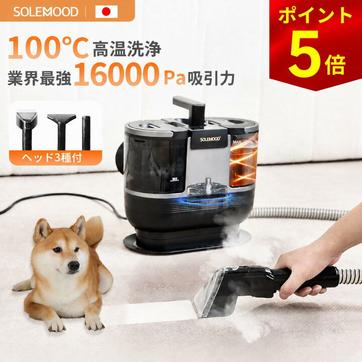 楽天市場】＼夏セール6/30まで16,980円／ 楽天1位 カーペット 