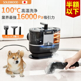 ＼年末セールクーポンで21,800円／ 楽天1位 カーペットクリーナー スチームクリーナー リンサー 布製品 クリーナー スチーム バキューム ソファ ベッド 染み抜き 掃除機 洗浄機 洗濯機 大掃除 絨毯 クリーニング スポット ラグ 水掃除 掃除機 DY506