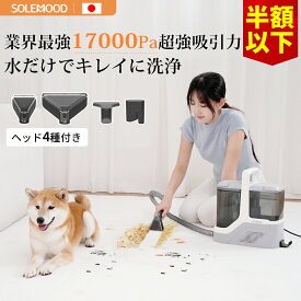 新発売！50%OFFクーポン！ カーペットクリーナー リンサー 布製品 ベッド クリーナー ソファ バキューム 染み抜き 布洗浄機 洗濯機 大掃除 絨毯 クリーニング スポット ラグ 水掃除 掃除機 17,000pa強力吸引 常温式 布団クリーナー dy510