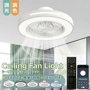 【6年保証】シーリングファン シーリングファンライト LED サーキュレーター シーリングライト 高輝度 8畳 10畳 調光 調色 風量調節可 常夜灯 ファン付き 空気循環 照明器具 天井照明 省エネ