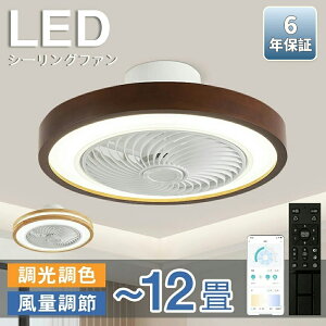 y6Nۏ؁zV[Ot@ V[Ot@Cg LED Ɩ 6 8 12 DC[^[ T[L[^[  F IV VƖ V[OCg k dc[^[ Cz 