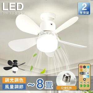 y6Nۏ؁zV[Ot@ V[Ot@Cg LED T[L[^[ V[OCg Px 8 10  F ʒ߉ 铔 t@t Cz Ɩ VƖ ȃGl 