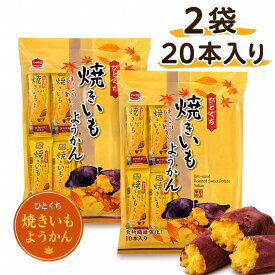 ひとくち焼きいもようかん 2袋 20本 一口 焼き芋 羊羹 個包装 おやつ ポイント利用 お菓子 芋羊羹 和菓子 お茶菓子 ミニ 若山商店 ポイント消化 1000円ポッキリ 送料無料