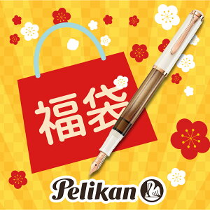 �y2026�N ���܁zPELIKAN �y���J�� Classic M200 Copper �N���V�b�N M200 �R�b�p�[ ���N�M