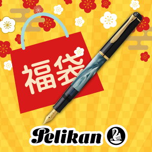 �y2026�N ���܁z Pelikan �y���J�� �N���V�b�N M200 ���N�M �}�[�u���O���[��