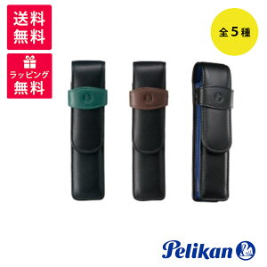 PELIKAN yJ U[P[X 2{p TG-11/22/24 TG-22N/23N ubN O[ uE u[ yP[X