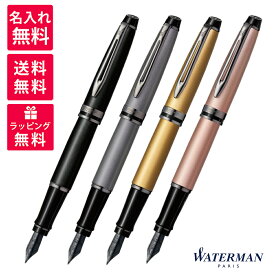 【名入れ無料】ウォーターマン WATERMAN エキスパート EXPERT 万年筆 メタリック ブラック シルバー ゴールド ローズ RT