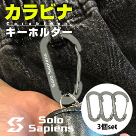 【楽天1位】 カラビナ キーホルダー 3個セット マットグレー おしゃれ シンプル 大活躍 超軽量 ズレにくい アルミ合金 アルミ D型 キーチェーン ペットボトルホルダー キーリング アウトドア キャンプ 登山 釣り スポーツ