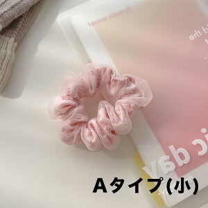 ԕ VV S3F 傫2 I[KW[ wAS ig  傫 wAANZT[  p[eB[  ItBX `[~O K[[ wAAW wA Ab