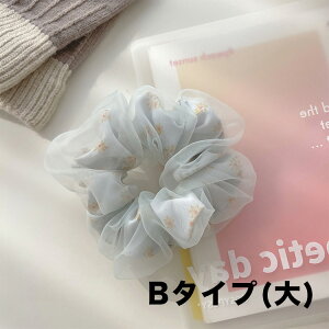 _2_10OFFA3_20%OFF COUPON^ԕ VV S3F 傫2 I[KW[ wAS ig  傫 wAANZT[  p[eB[  ItBX `[~O K[[ 