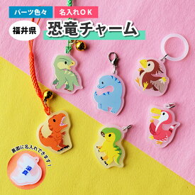 アクリル製　福井県の恐竜　チャーム　根付　アンブレラマーカー　キーホルダー
