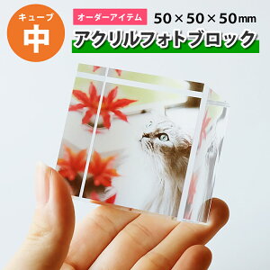 yL[uzANtHgubNyW50×H50×D50mmzI[_[Ch