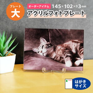 yTCYzANtHgv[gy145×102mmzI[_[Ch