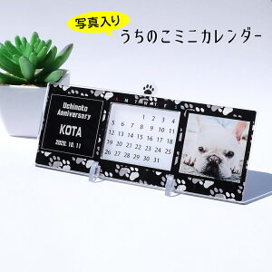 I[_[ChÎ~jJ_[@POPi㖜NJ_[j