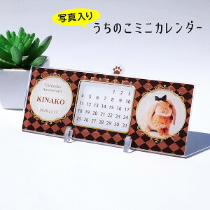 I[_[ChÎ~jJ_[@NVJi㖜NJ_[j