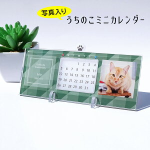 I[_[ChÎ~jJ_[@Vvi㖜NJ_[j