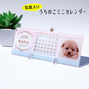 I[_[ChÎ~jJ_[@pXei㖜NJ_[j