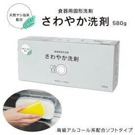 固形タイプ台所洗剤　さわやか洗剤　580g
