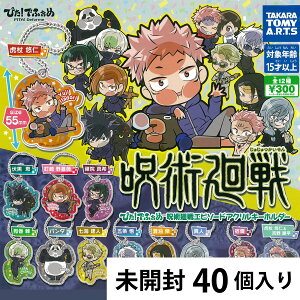 ҂Iłӂ߁@p Gs\[h ANL[z_[ JvZgCy40z