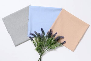 Rbg/|GXeD_K[bV[ n z n  Jbg50cmP(iԍ:6010-a)