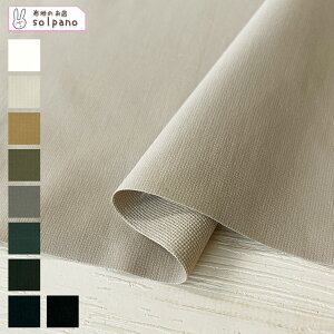 }[fRbg_uNX z n  n Jbg50cmP(iԍ:41207)