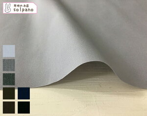 ECOPET(R)ポリエステル/コットンGポプリン(ダーク系) 無地 布 生地 手作り カット50cm単位(商品番号:11486-4)