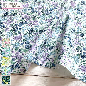 聜60s[vg z n  ԕ {^jJ Jbg50cmP NbN|XgΉi(iԍ:sol28077)