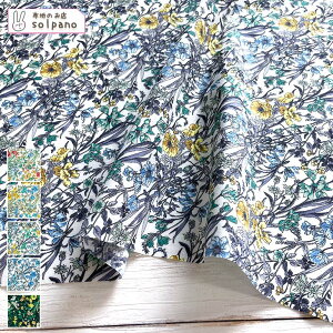 聜60s[vg z n  ԕ {^jJ Jbg50cmP NbN|XgΉi(iԍ:sol28078)