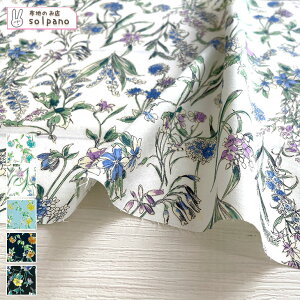 聜60s[vg z n  ԕ {^jJ Jbg50cmP NbN|XgΉi(iԍ:sol28079)