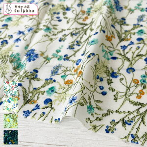 聜60s[vg z n  ԕ {^jJ Jbg50cmP NbN|XgΉi(iԍ:sol28086)