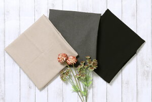 Reflax(R)|GXeCANAPA(Jip)ix[VbNJ[j n z n  lCN ƒOK Jbg50cmP(iԍ:52211-a)