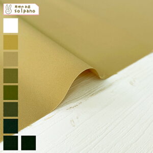 75d SOLOTEX(R)×ECOPET(R)^t^WR(C0) z n  Jbg50cmP NbN|XgΉi(iԍ:52355)