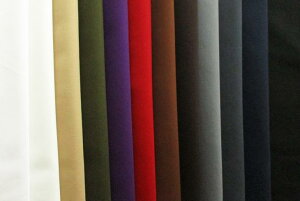 20s×16sTe n z n  Jbg50cmP NbN|XgΉi(iԍ:11277)