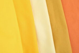 V[`OiCG[J[j n z n  Jbg50cmP NbN|XgΉi(iԍ:13300-4)