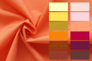 50su[hiEH[J[j n z n  Jbg50cmP NbN|XgΉi(iԍ:30011-2)