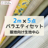 △△布地セット 2mカット済5点入り「バラエティセットD」布 生地 手作り 福袋