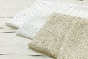 [XW zEnE Jbg50cmP bZ[X n