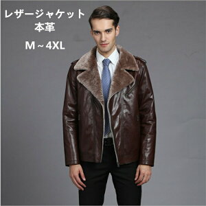 yXSiI20%OFFsz WPbg Y ~ U[WPbg {v AE^[  30 40 50 ~ H R[g V[g 傫TCY t@bV h h ۉ ʋ