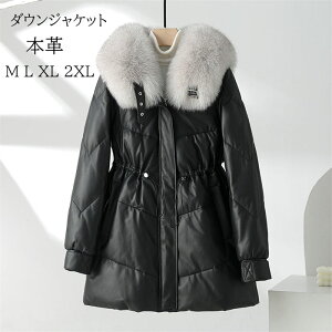 _ER[g _EWPbg fB[X {v U[_ER[g U[_EWPbg vW H~  ubN 傫TCY rWlX ~R[g tHbNXt@[ ~h h