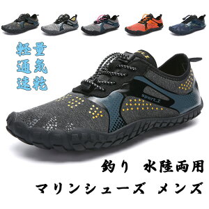 ylCiz}V[Y Y EH[^[V[Y y ʋC  ANAV[Y ~ Vm[POV[Y _CrO r[`V[Y ނ p