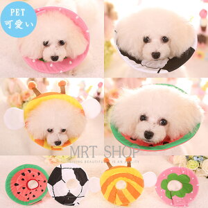 ylCizGUxXJ[ \tgGUxXJ[ Lp p \p ybg y 炩 r r h~ ی S M L XL 킢  ^p ߉\ y ȕz _炩 p